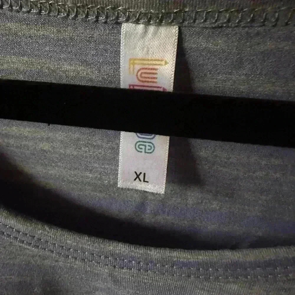 Lularoe XL grey long sleeve Lynnae t shirt with periwinkle stripes.‎ NWT - Picture 3 of 6